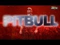 PITBULL - DON'T STOP THE PARTY - GLOBAL ...