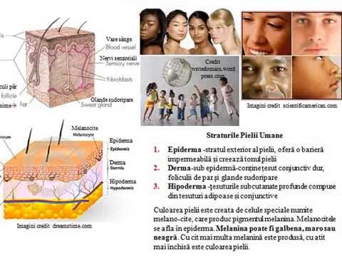 Infectii mandibulare