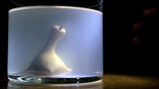 NEW Humonculus Update! PLUS other animals that merge to become one!