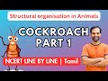 Cockroach in Tamil | Part 1 | NCERT Line by line