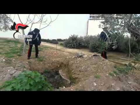 Barletta, discarica abusiva sotto l’orto botanico. Sequestrati beni per 10 mln di euro