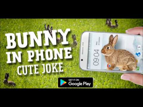 Bunny in Phone Cute joke Video