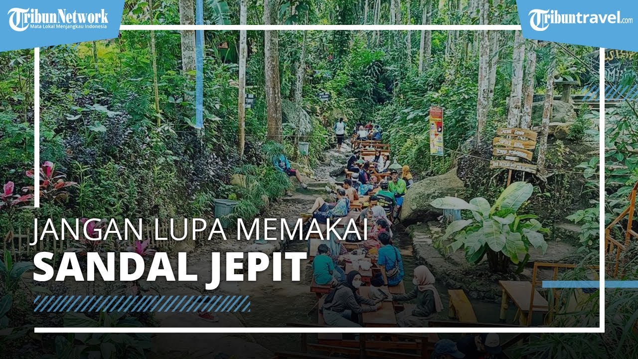 Tips Berkunjung ke Wana Wisata Sumber Biru Jombang, Tawarkan Pengalaman