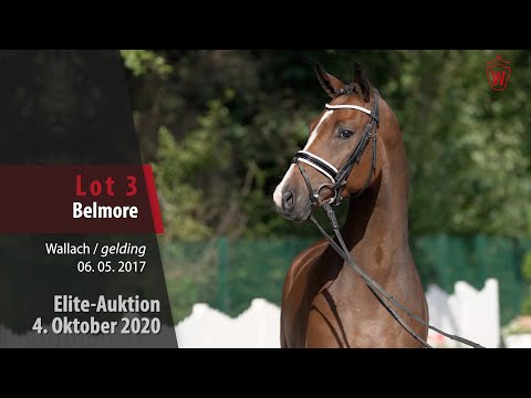 Elite-Auktion 4. Oktober 2020 Lot 3 Belmore Wallach v. Belissimo M - Fidertanz
