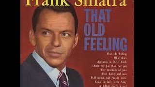 Frank Sinatra Import Records at Goodwill
