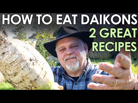 How to Eat Daikon Radishes - Soup & Salad Recipes || Black Gumbo