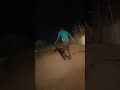 Sangada Nanga Dance
