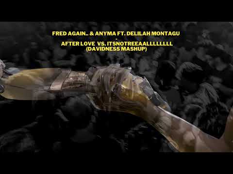 Fred Again.. & Anyma ft. Delilah Montagu - After Love ItsNotREEAALLLLLLLL (Davidness Mashup)