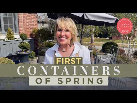 How To Plant OVER THE TOP Container Gardens | Linda Vater 🌿