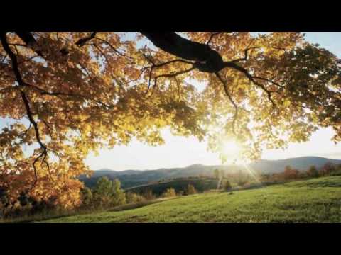 Nge Sem Di Lungi Bado