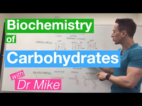 Carbohydrates | Biochemistry