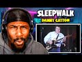 How Can One Guitar Say So Much? Danny Gatton - Sleepwalk (Reaction)