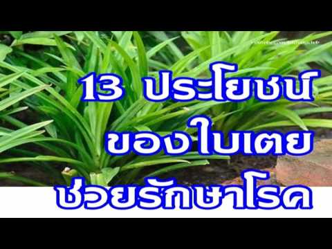 ครีมสำหรับราคาที่เพิ่มขึ้นแรง ครีมสมาชิก candidiasis