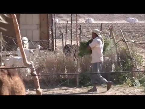 Solar Irrigation & Resilient Farming for 150 Famil