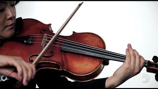 Zyex 15"-16" Viola String Set - Medium