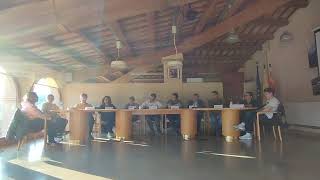 Ple extraordinari del 28 d'abril de 2025