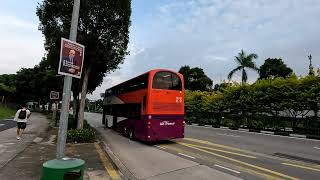 シンガポールでのバスの乗り方 How to get on a bus in Singapore איך לעלות על אוטובוס בסינגפור