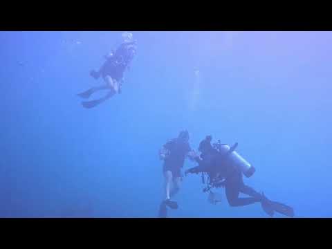 1st Dive in PR - short clip