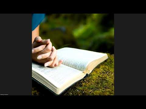 Starting Scripture - Day 47