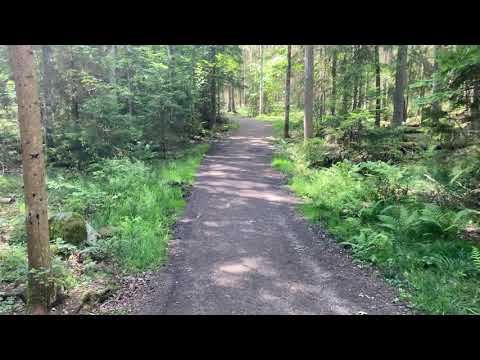 Walking in Björnö Västerås| Promenad i Björnö