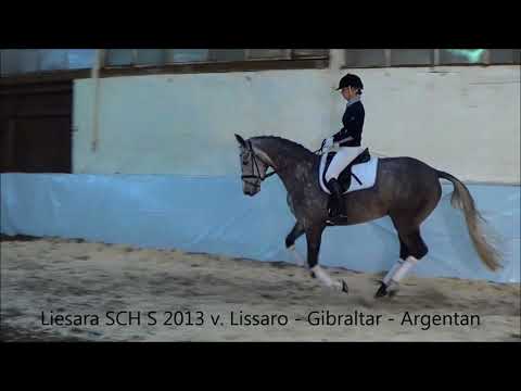 4 Liesara v  Lissaro