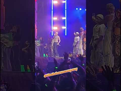 FINAL DO SHOW INCRÍVEL DO CHRIS BROWN EM SÃO PAULO 🔥 #chrisbrown #saopaulo