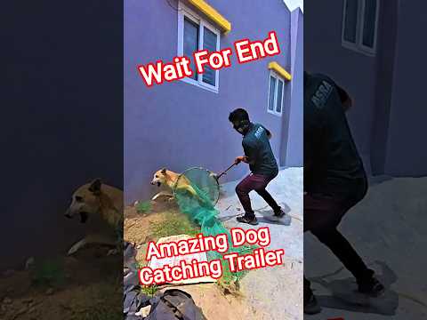 Street Dog Revival  and 3 more