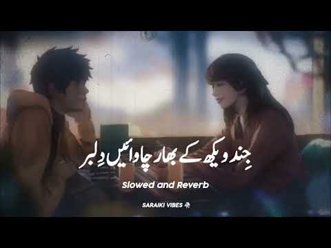 Tere Baj Guzary nhi Honde - Slowed and Reverb Version | Saraiki Slowed and Reverb Song