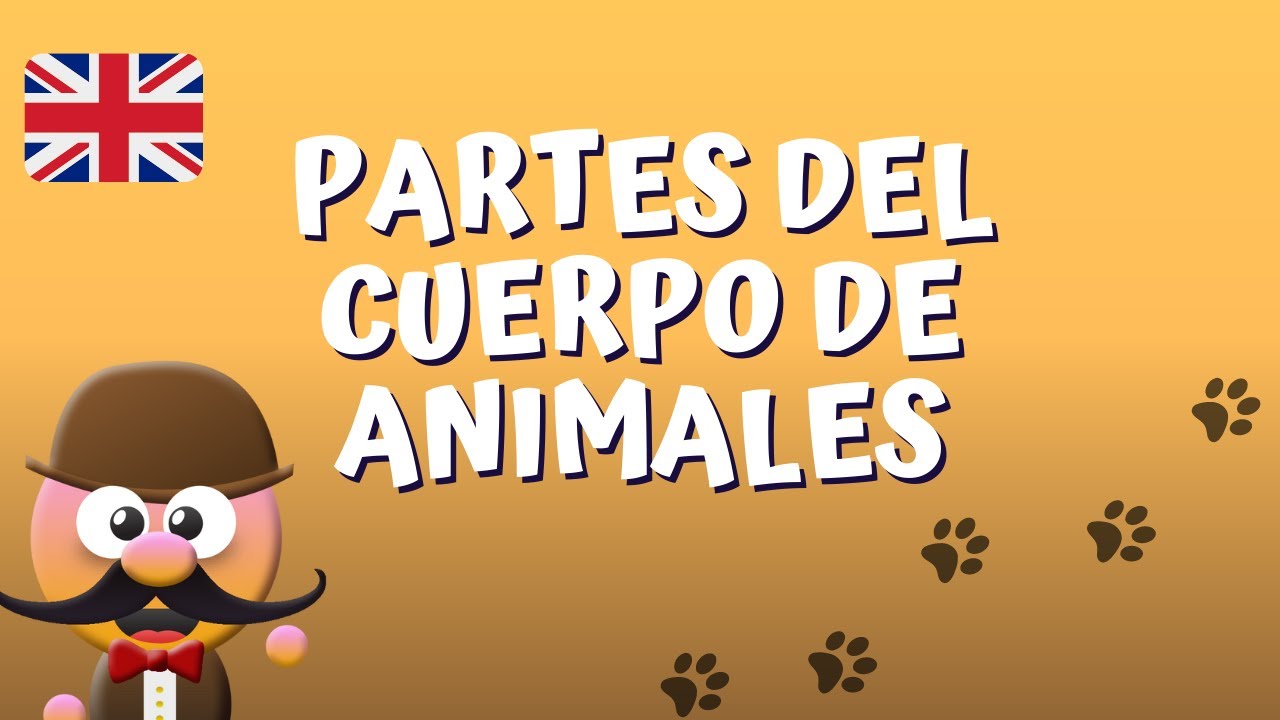 PARTES DEL CUERPO DE ANIMALES - ANIMAL BODY PARTS -INGLÉS PARA NIÑOS CON MR PEA - ENGLISH FOR KIDS