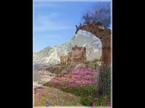 El Pinar de Campoverde