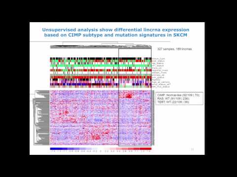 Profiling Long Intergenic Non-Coding RNA Interactions In The Cancer Genome - Samir Amin