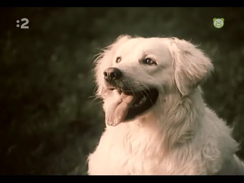 Na dvore a na pažiti - Domček, domček, kto v tebe býva? - 08