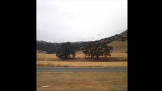 bulldog eyes -  my son cool (gbv cover)