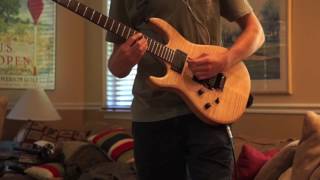 Palm - Shadow Expert // Guitar Cover