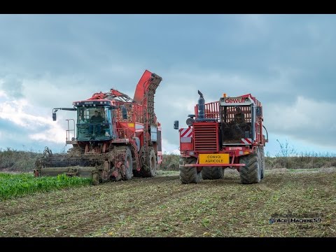 ARRACHAGE DE BETTERAVES 2016 | HOLMER T3