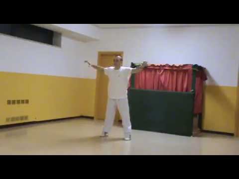 Il Qi Gong del Maestro Vito Consenti