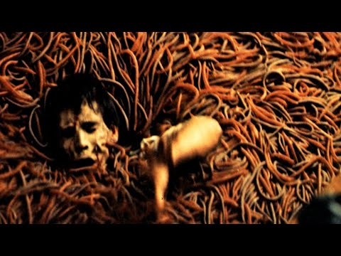 Apparitions, Bugs, Aliens - Diphenhydramine (1,000mg) Trip Report