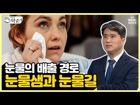 눈물의 배출 경로, 눈물샘과 눈물길 ['눈물 흘림' 진단과 치료 ③] | 메디컬 약손
