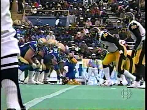CFL 1993 EAST FINAL HAMILTON TIGERCATS AT WINNIPEG BLUEBOMBERS