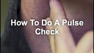 Can I Choke A Patient With A Carotid Pulse Check?