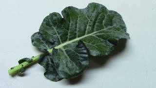 How To Cook Broccoli Leaves