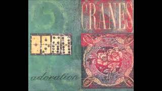 A-Cranes-Adoration