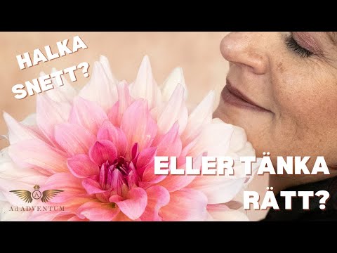 Halka snett eller tänka rätt?