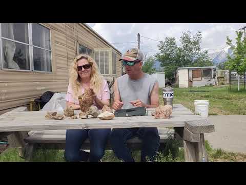 What rocks contain gold?  How to find the gold and what to look for.