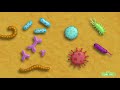 What Are Germs