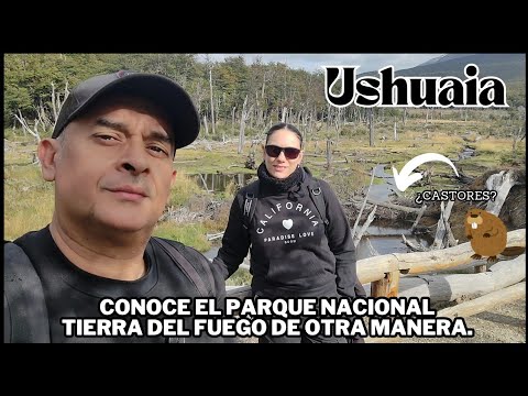 BEASTERS, BEASTERS AND TREEKING