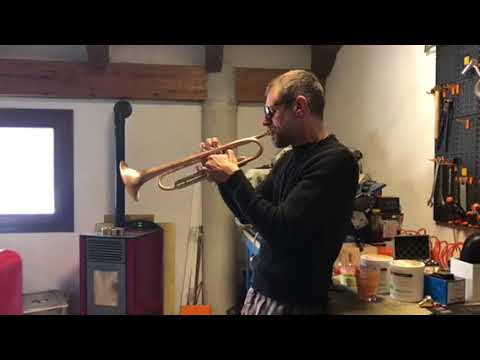 Fabrizio Bosso AR Resonance Estrema