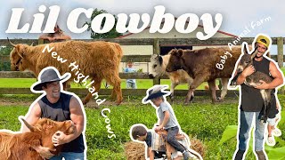 The Lil' Cowboys Bring Home 2 Adorable Mini Highland Cows! Come Meet the Herd! KIDS/FARM LIFE/ANIMAL
