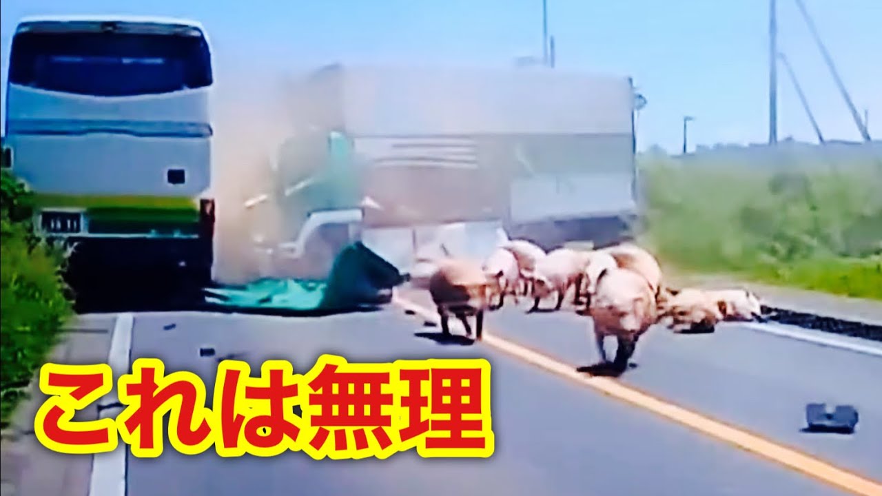 北海道八雲町で起きたトラックと高速バスの正面衝突事故について