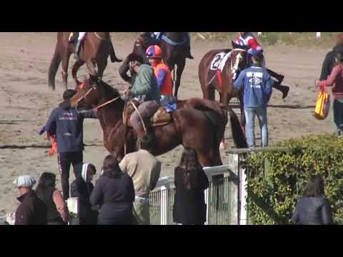 SINT COLONIA - 220707 c02 1° GO BABY